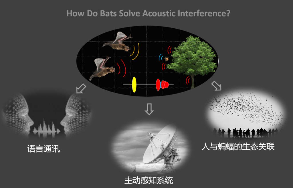 神经行为学课题组合影