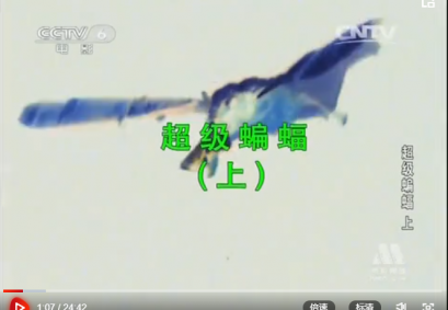 动物世界 超级蝙蝠