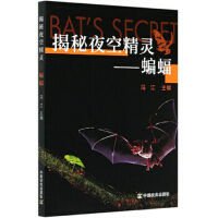 揭秘夜空精灵蝙蝠