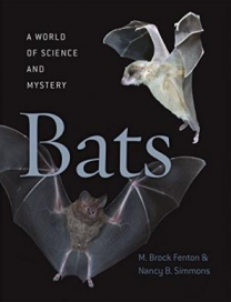 Bats A World of Science and Mystery