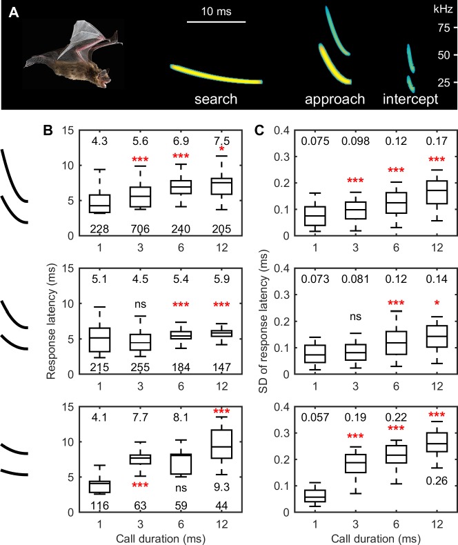 Neural timing of stimulus events with microsecond precision