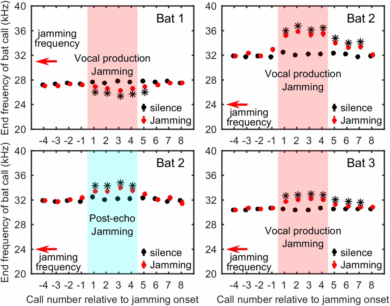Audiovocal feedback and sonar signal design